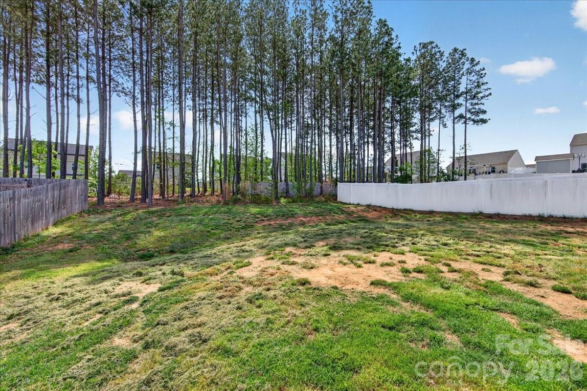 4322 One Mile Way Charlotte, NC 28215 - Photo 46 of 48 a view of a yard with palm trees
