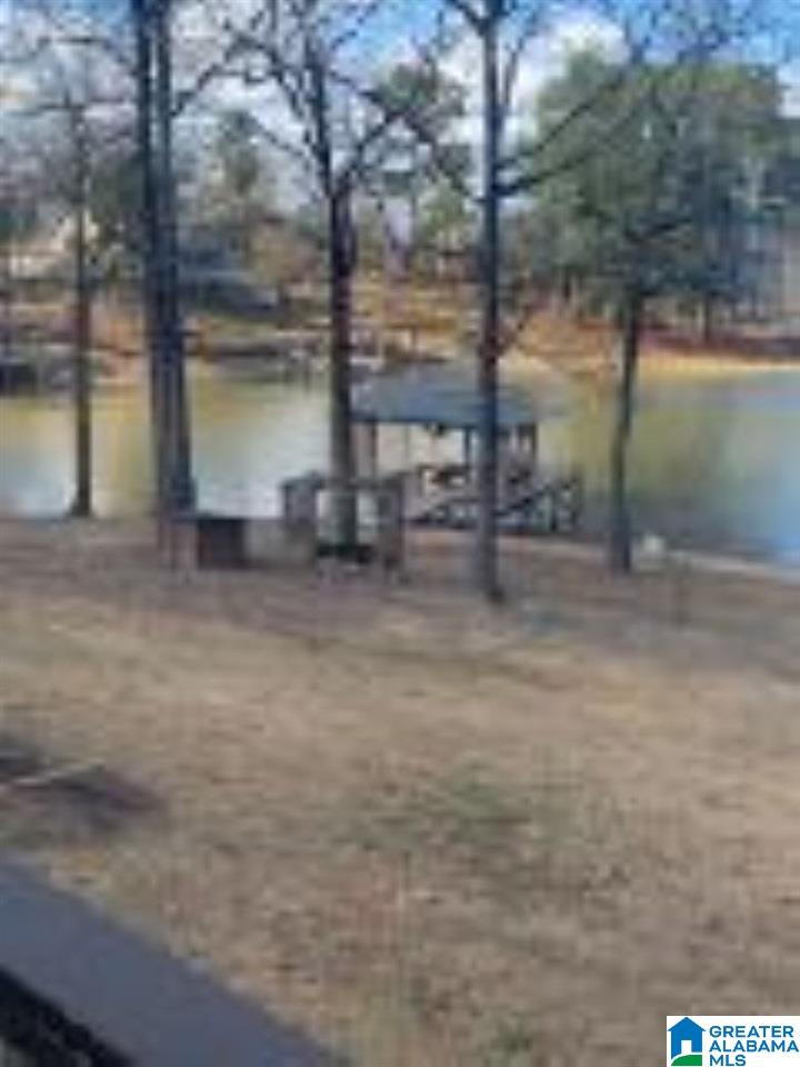 32 Cox Lane Alpine, AL 35014 - Photo 6 of 20