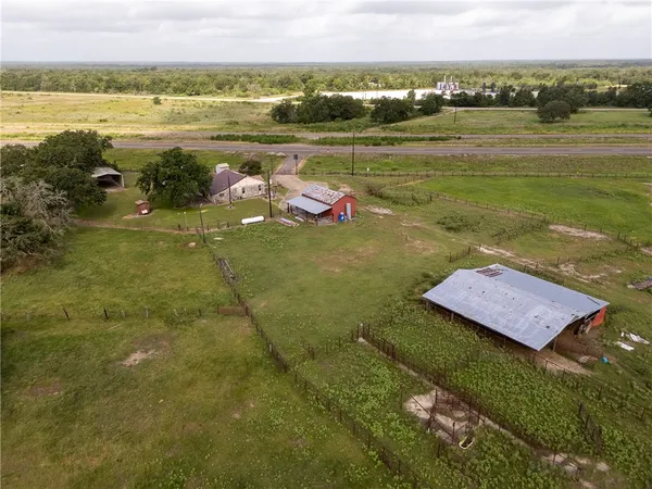 a bird view of tall trees