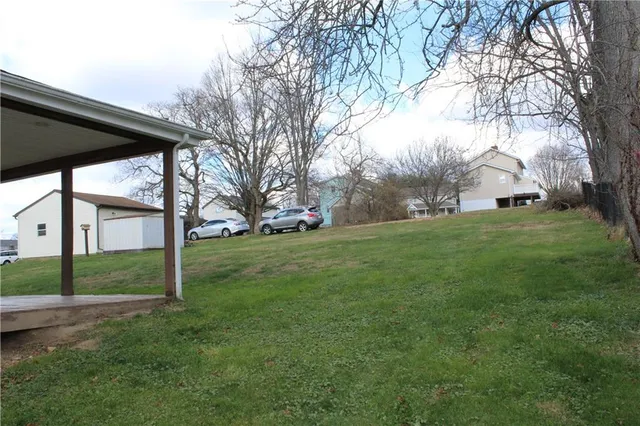 a view of a park that has a tree on the side of it