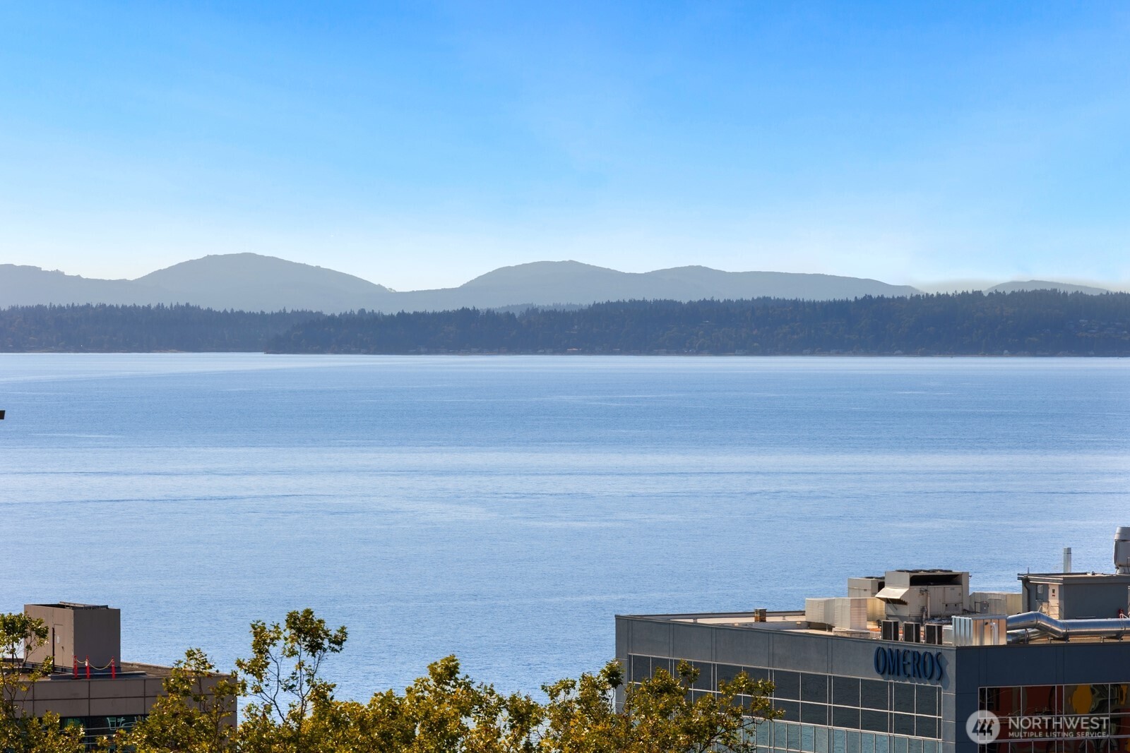 22 John Street, Unit 10 Seattle, WA 98109 - Photo 22 of 29