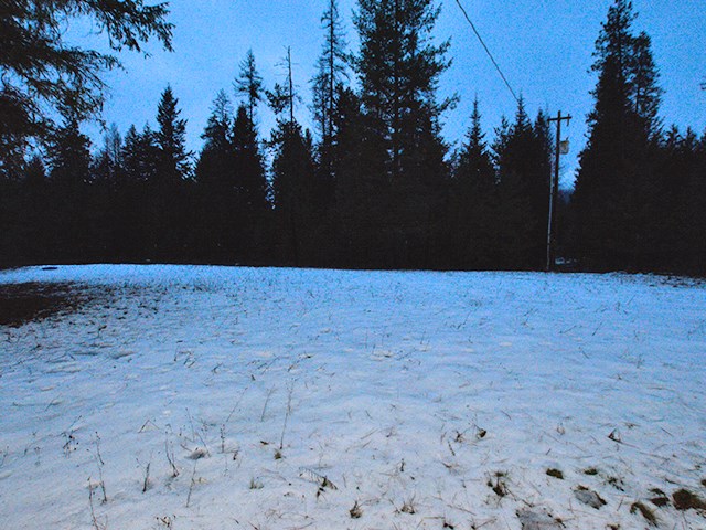 4068 B Gardenspot Road Loon Lake, WA 99148 - Photo 16 of 20 Gallery Image 16