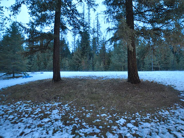 4068 B Gardenspot Road Loon Lake, WA 99148 - Photo 18 of 20 Gallery Image 18