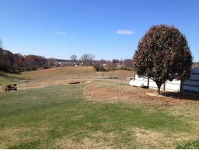 591 Berry Ridge Road Jonesborough, TN 37659 - Photo 23 of 23 Back Yard
