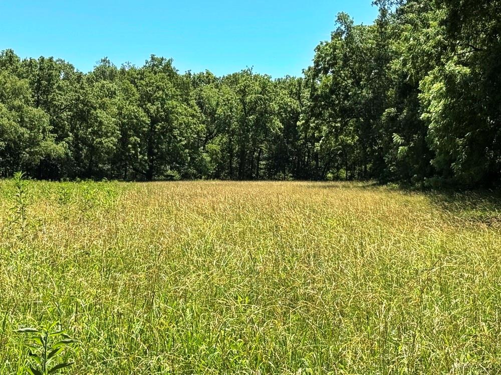 Tbd South 363 Road El Dorado Springs, MO 64744 - Photo 22 of 46
