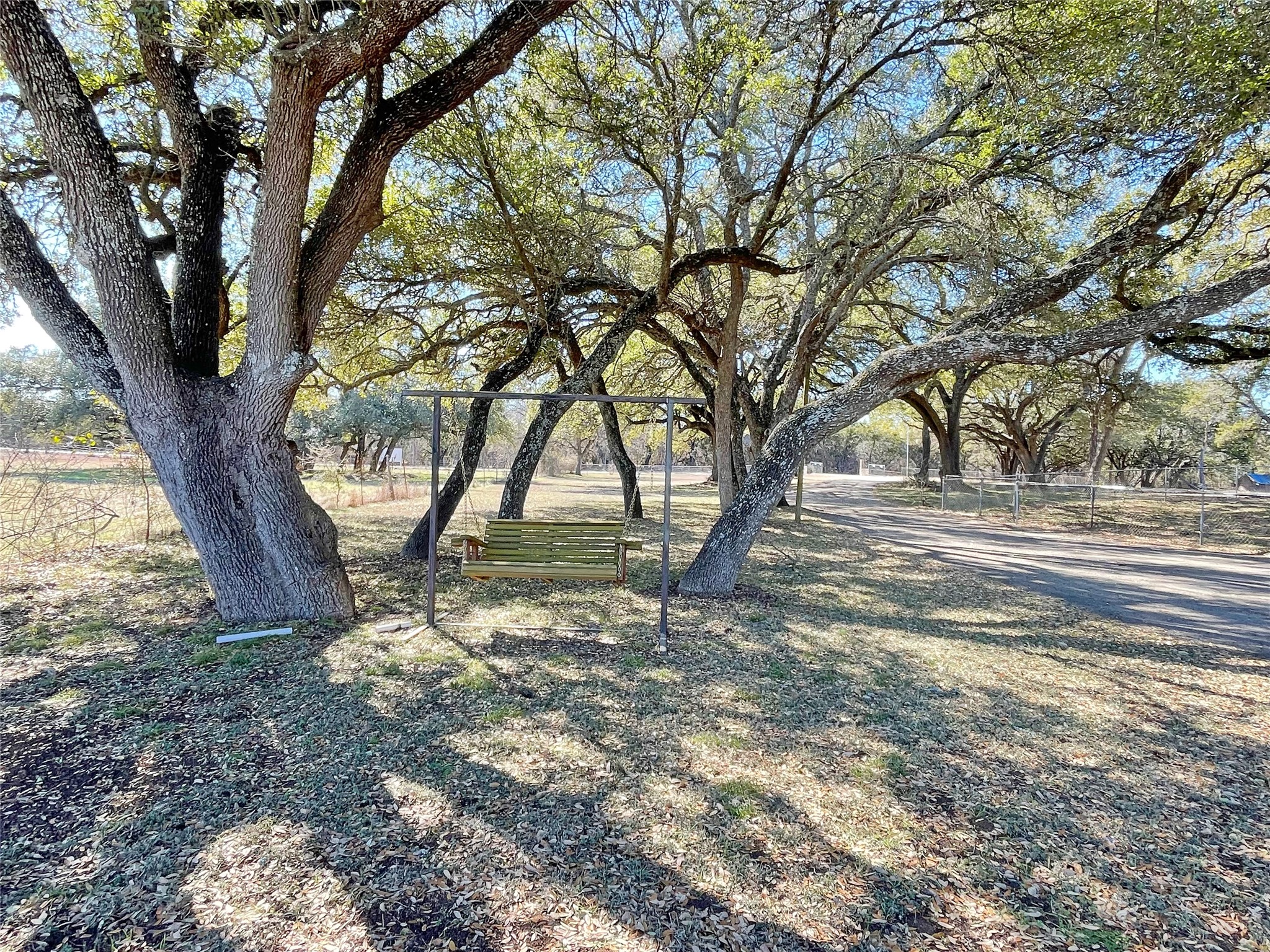 700 Shanklin Road Belton, TX 76513 - Photo 16 of 33 a view of a yard with plants and a large trees