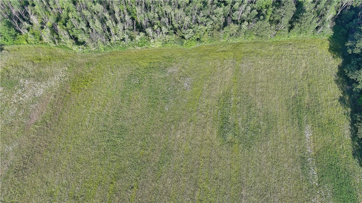 9915 Mutton Hollow Road Wheeler, NY 14873 - Photo 5 of 10