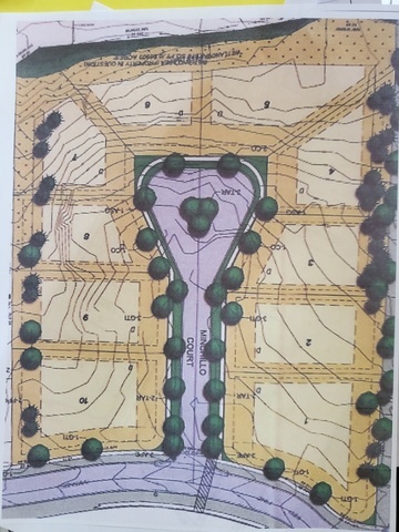 1999 North Fuller Road Gurnee, IL 60031 - Photo 2 of 2 a close view of a fireplace with wooden floor