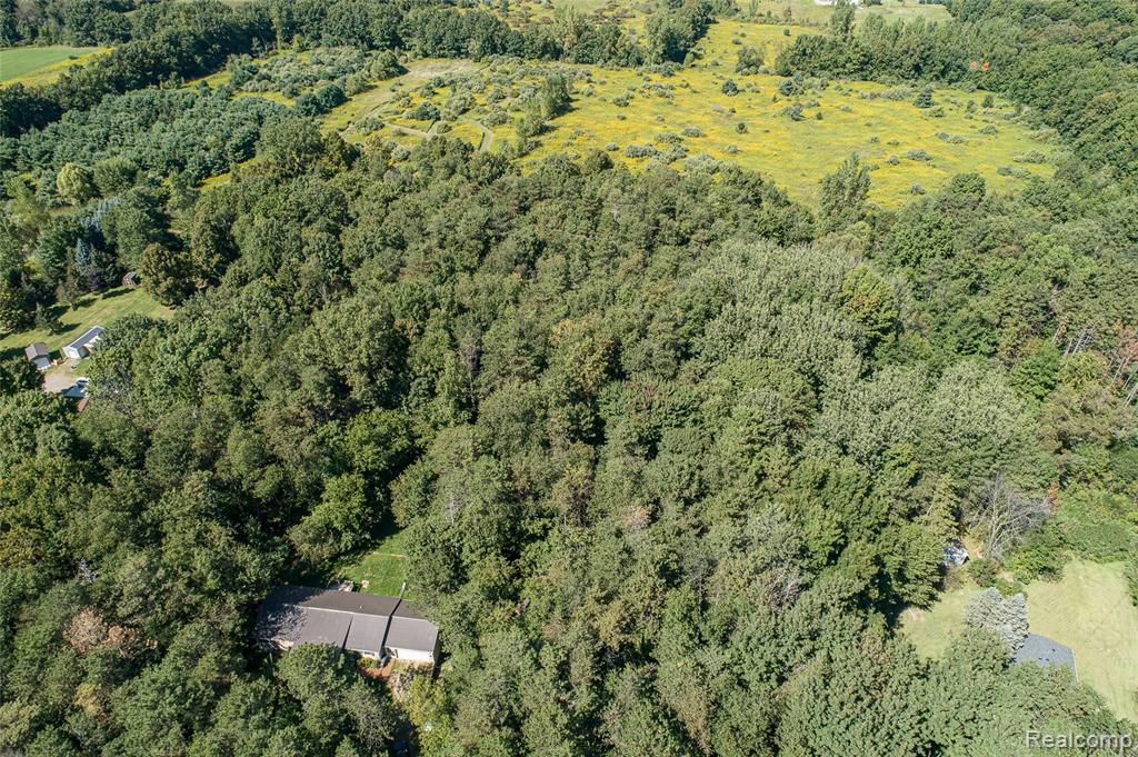 6855 Lyons Road Imlay City, MI 48444 - Photo 12 of 50