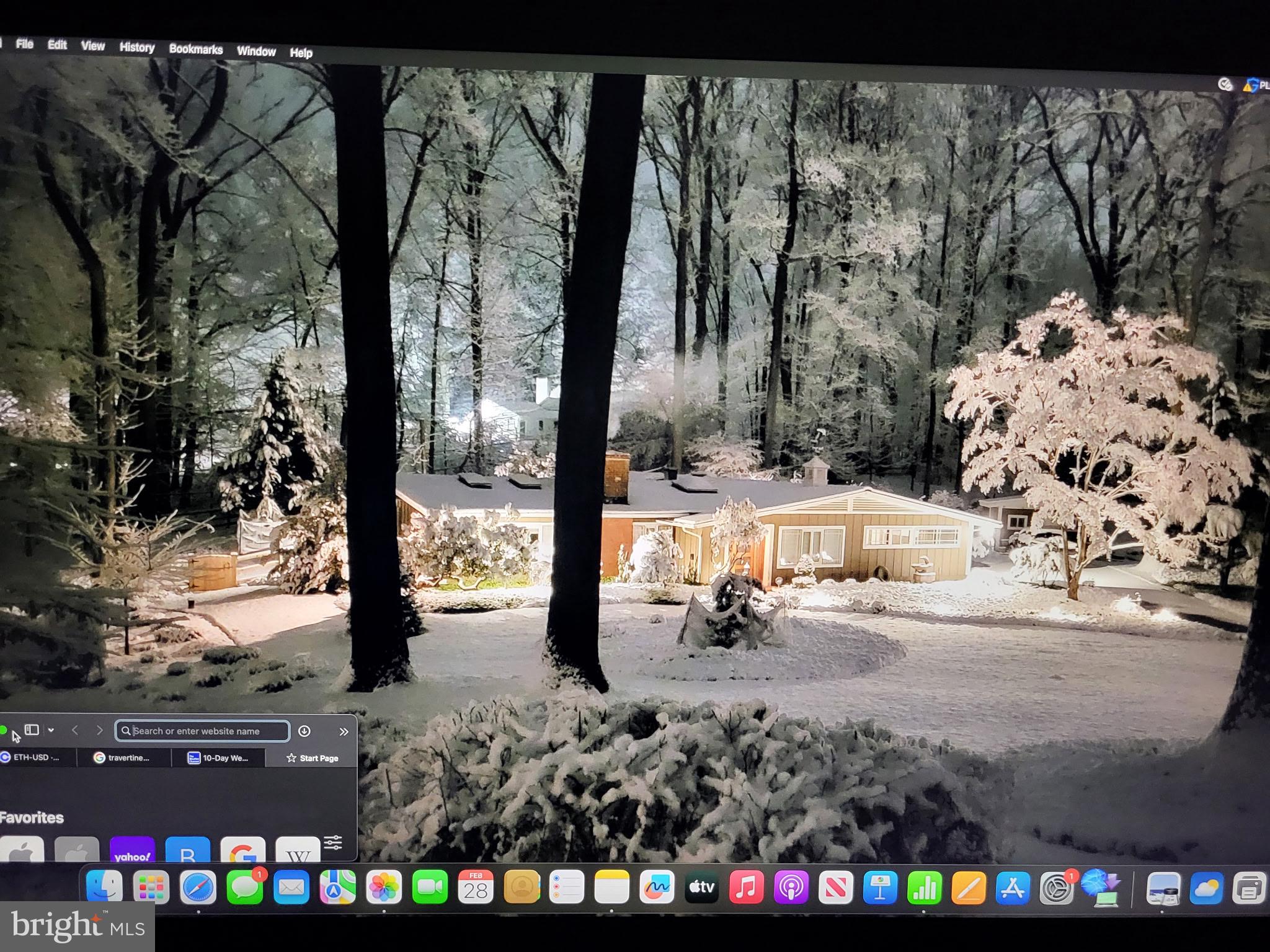 1403 Ellenglen Road Towson, MD 21286 - Photo 39 of 40 a view of yard with tree