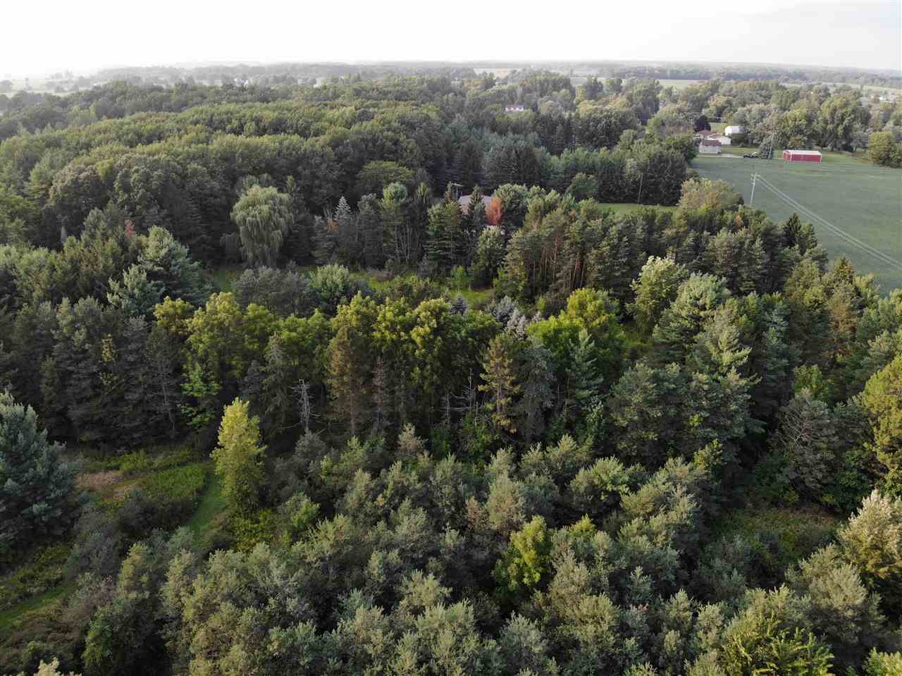Parcel A North Byron Road Lennon, MI 48449 - Photo 1 of 22