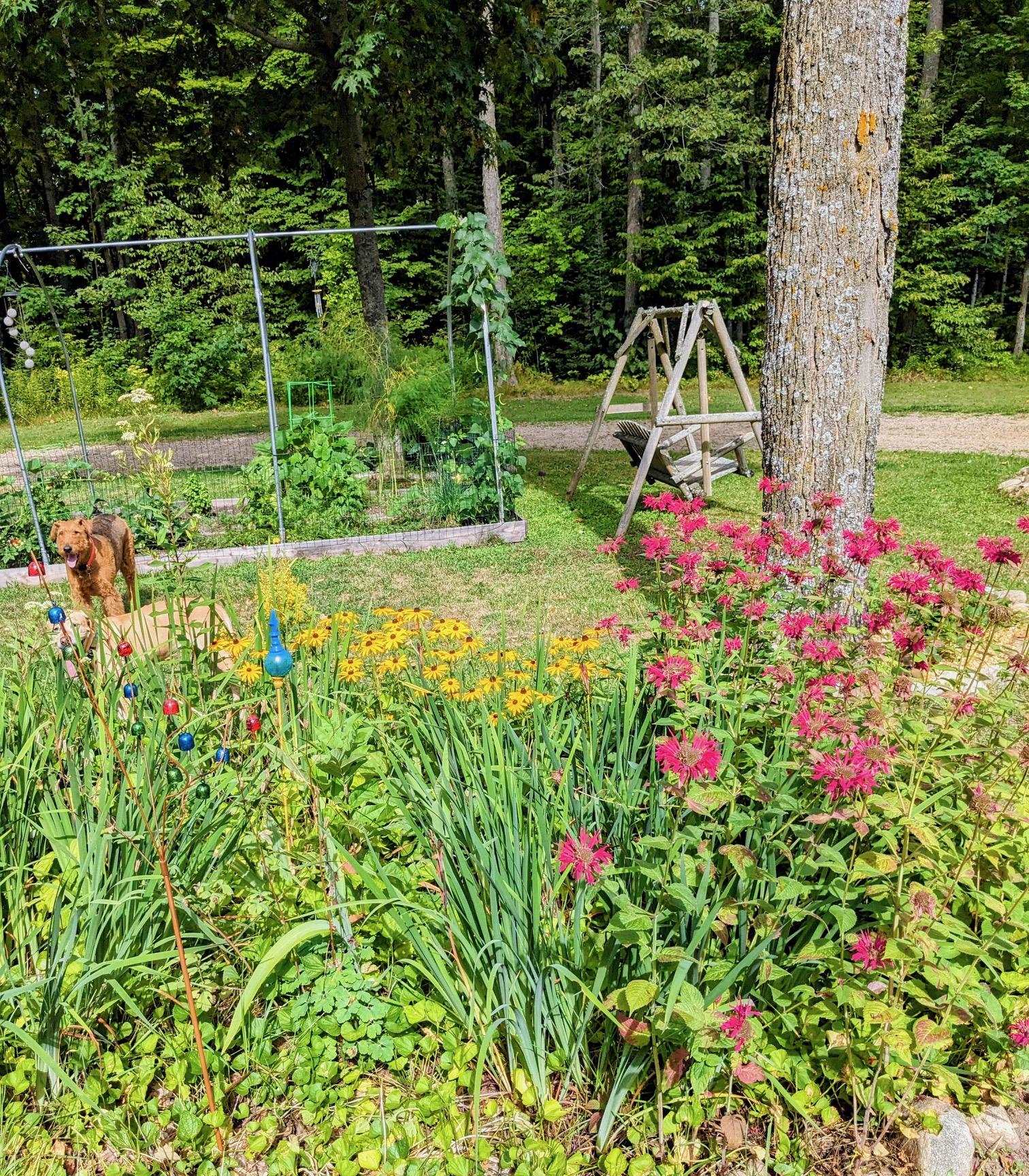 W551 Grouse Road Gleason, WI 54435 - Photo 48 of 51