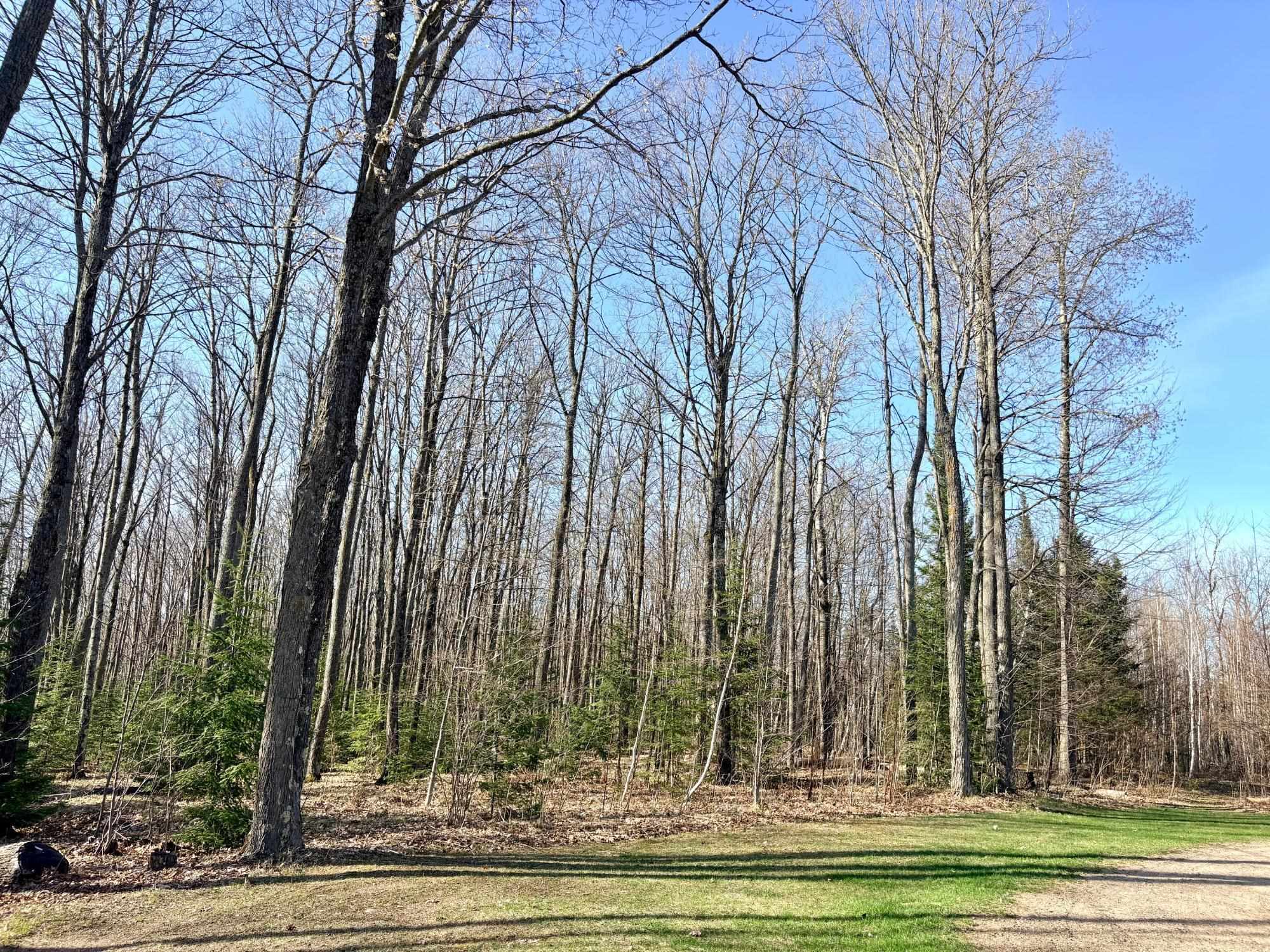 W551 Grouse Road Gleason, WI 54435 - Photo 55 of 61