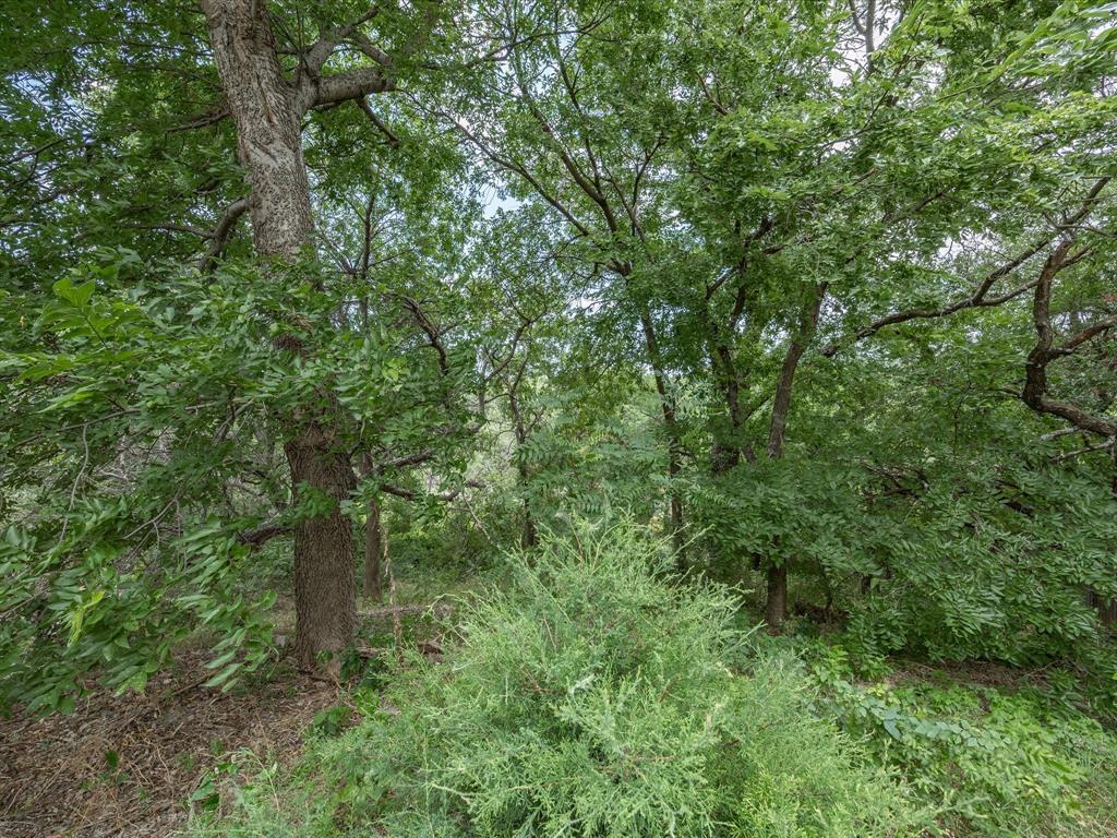 4008 Falcon Ridge Drive Haltom City, TX 76137 - Photo 40 of 40 Mature trees and dense foliage create a natural, wooded setting