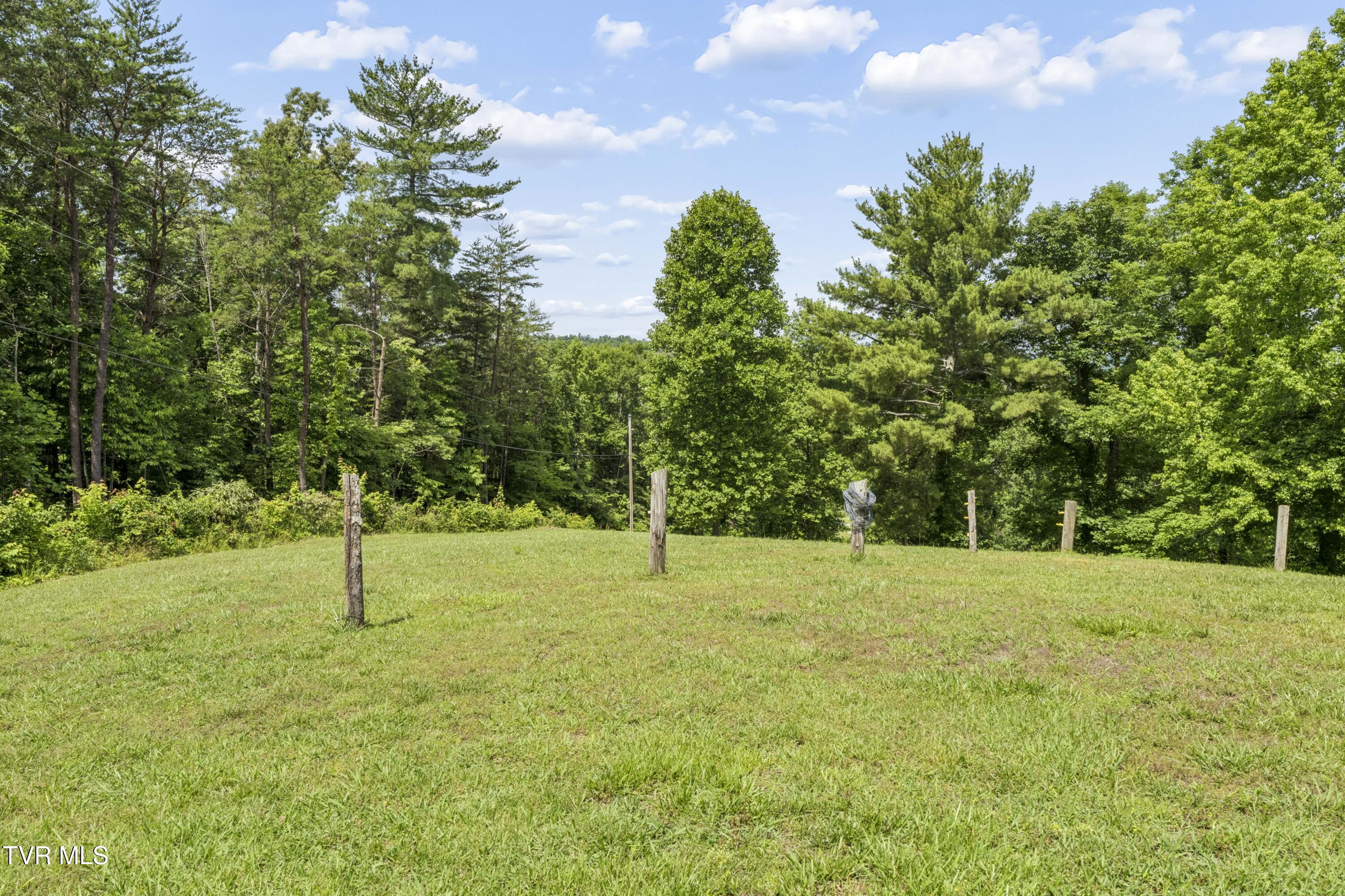1820 Frank Roberts Road Afton, TN 37616 - Photo 23 of 73 Frank2-32