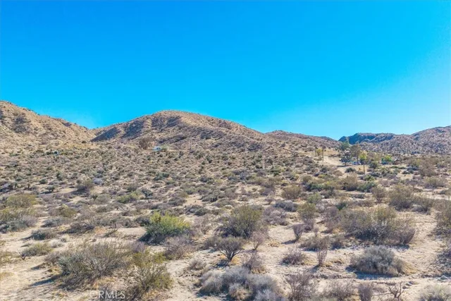 a view of a mountain range with trees in the background
