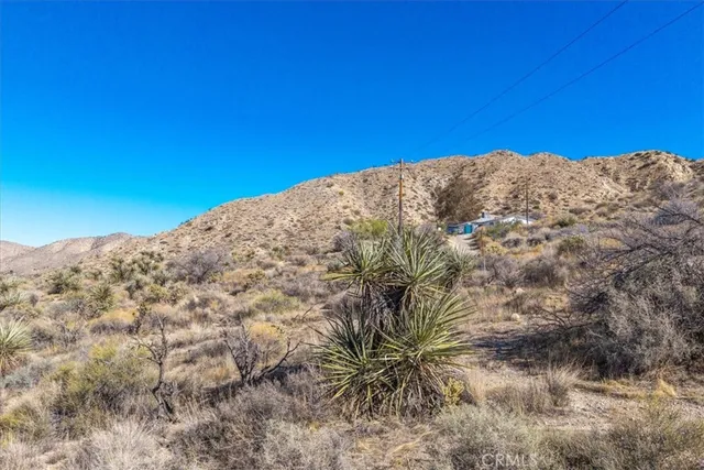a view of a dry yard with mountains in the background