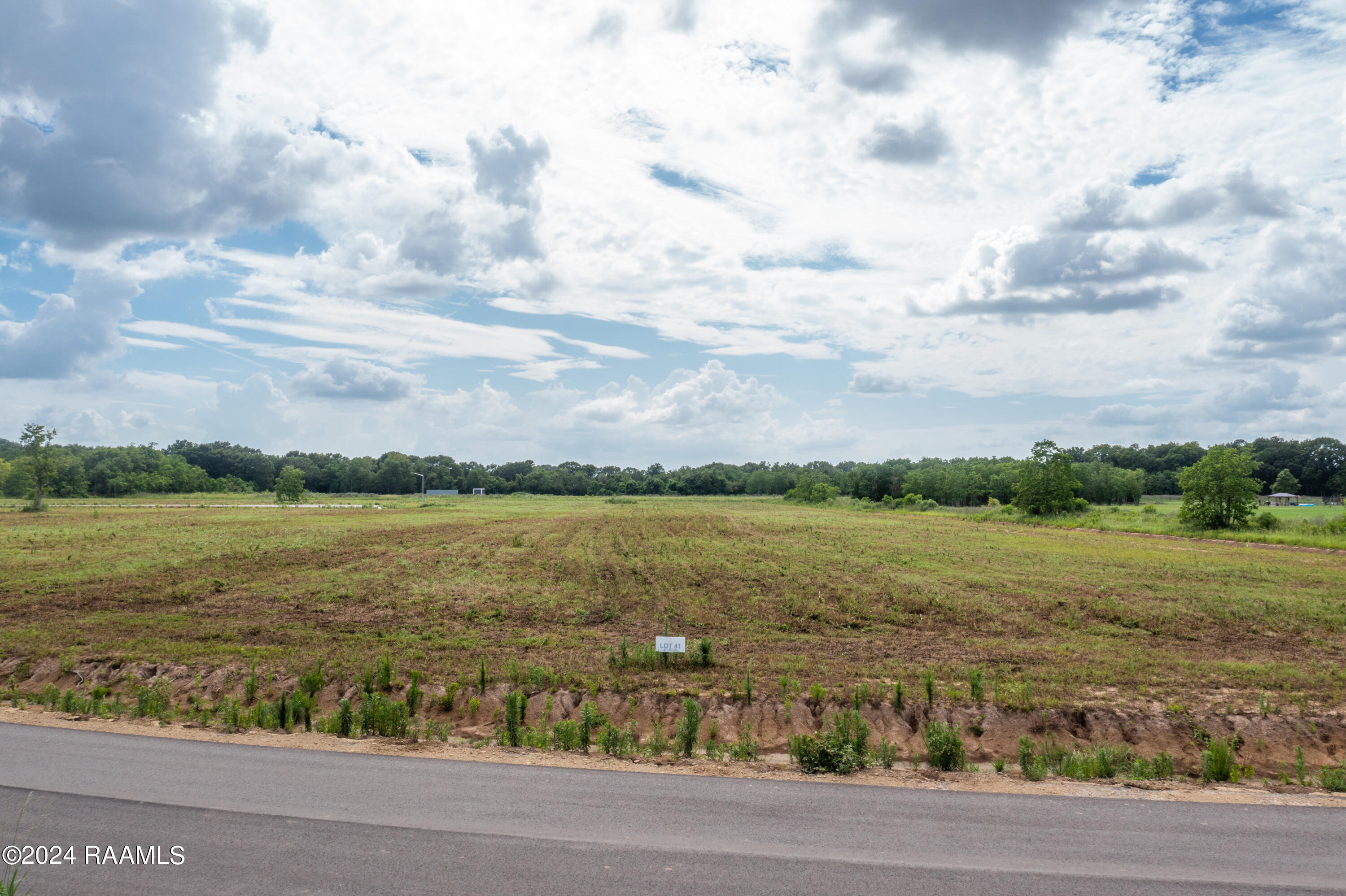 Tbd Rosa Court, Unit LOT #41 Sunset, LA 70584 - Photo 4 of 4 Lot41-3