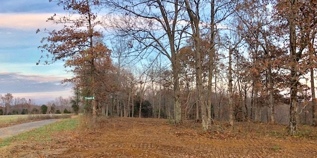 Carl Junior Road Bee Spring, KY 42207 - Photo 3 of 3 Gallery Image 3