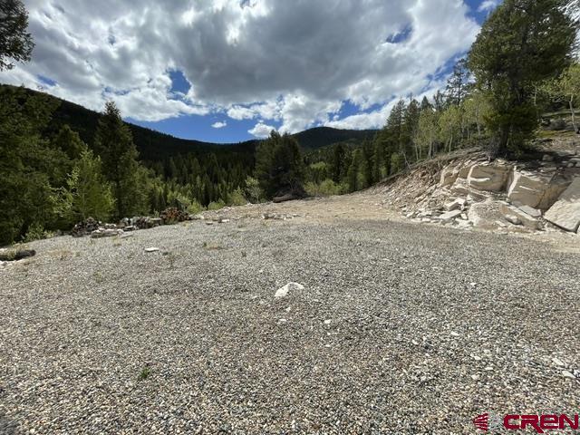 1675 Chicago Park Road Pitkin, CO 81241 - Photo 9 of 9