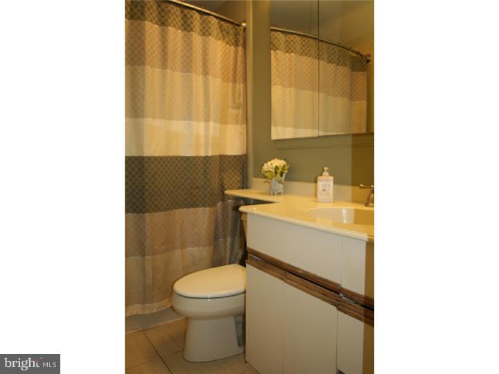 258 Harrogate Road Wynnewood, PA 19096 - Photo 17 of 24 Bathroom