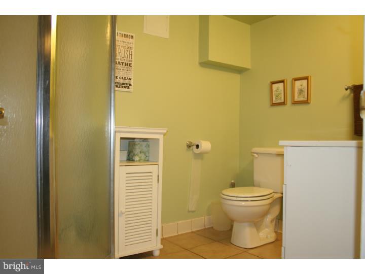 258 Harrogate Road Wynnewood, PA 19096 - Photo 20 of 24 Bathroom