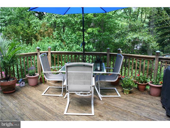 258 Harrogate Road Wynnewood, PA 19096 - Photo 21 of 24 Deck