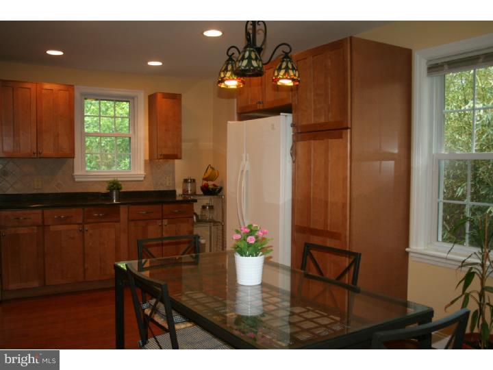 258 Harrogate Road Wynnewood, PA 19096 - Photo 8 of 24 Kitchen