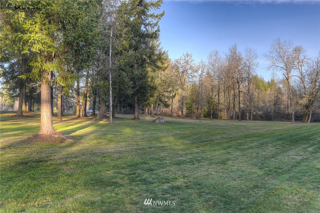 12726 Hubbard Road Southeast Rainier, WA 98576 - Photo 8 of 25 Gallery Image 8