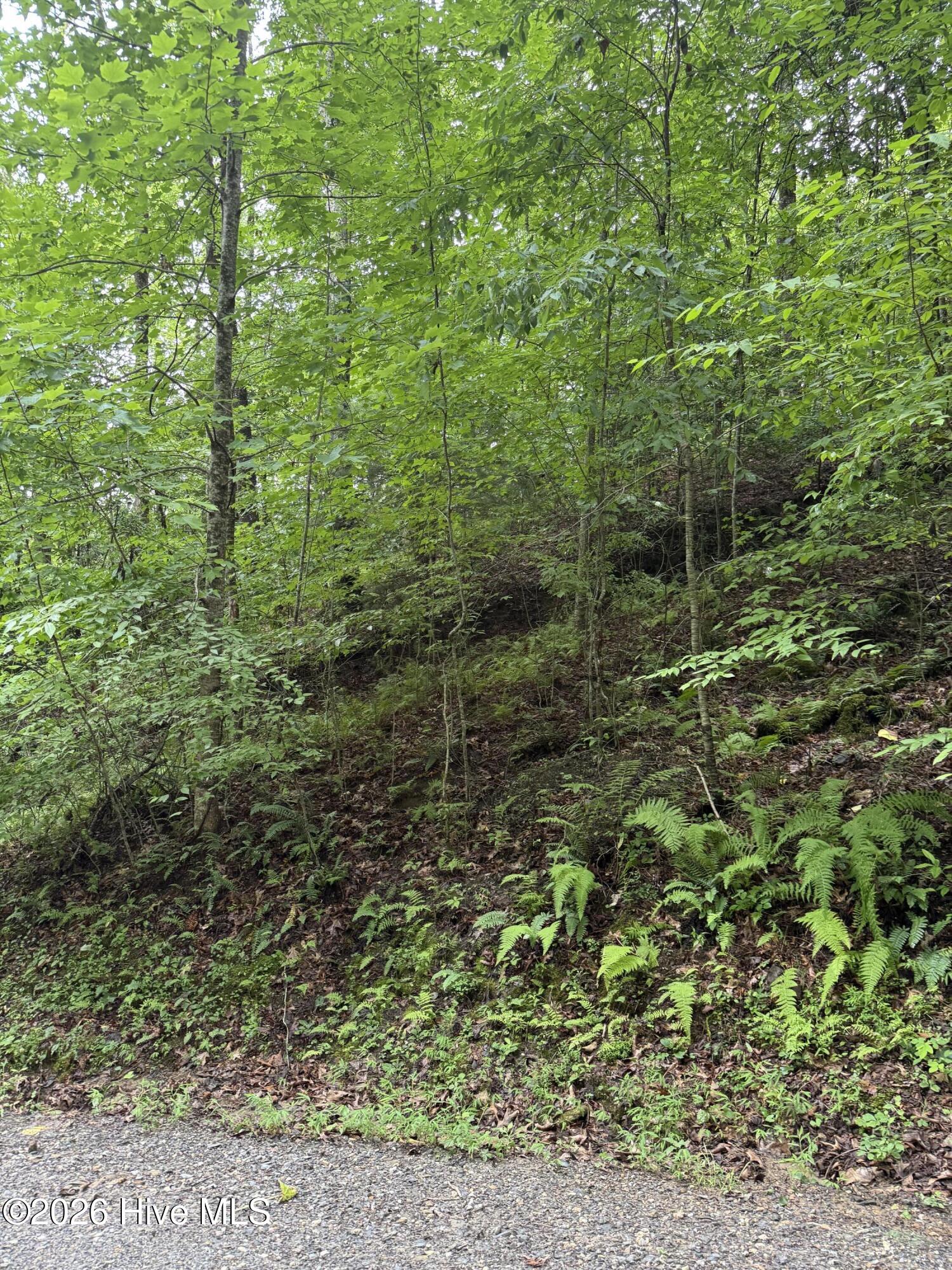 Lot 8 Vista Loop Road Topton, NC 28781 - Photo 3 of 9