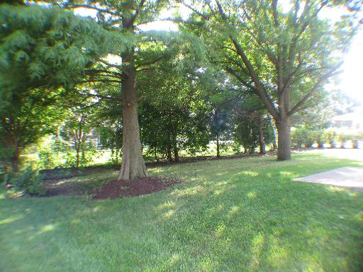 6337 Beaver Dam Road Matteson, IL 60443 - Photo 14 of 14