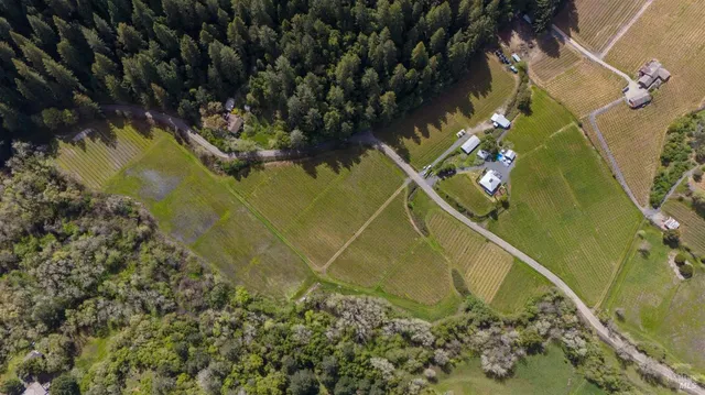 $3,195,000 | 8781 Martinelli Road, Forestville, CA 95436