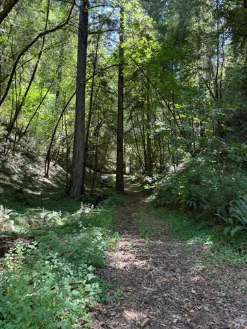 $3,195,000 | 8781 Martinelli Road, Forestville, CA 95436