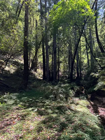 $3,195,000 | 8781 Martinelli Road, Forestville, CA 95436