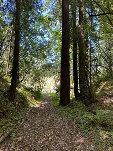 $3,195,000 | 8781 Martinelli Road, Forestville, CA 95436