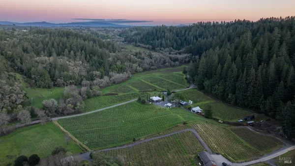 $2,999,000 | 8781 Martinelli Road, Forestville, CA 95436