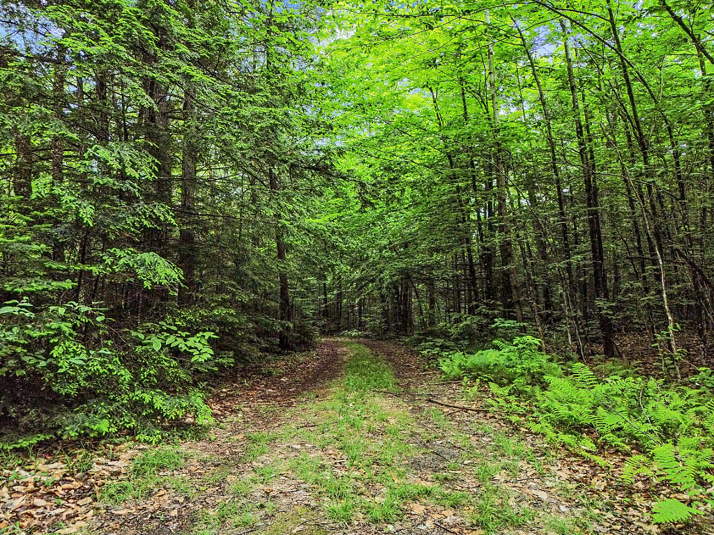 16 Judkins Road Harmony, ME 04942 - Photo 63 of 65 02_DJI_0311_DxO