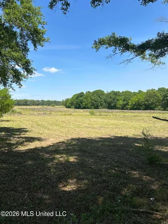 $269,900 | Holly Bush Road, Brandon, MS 39047