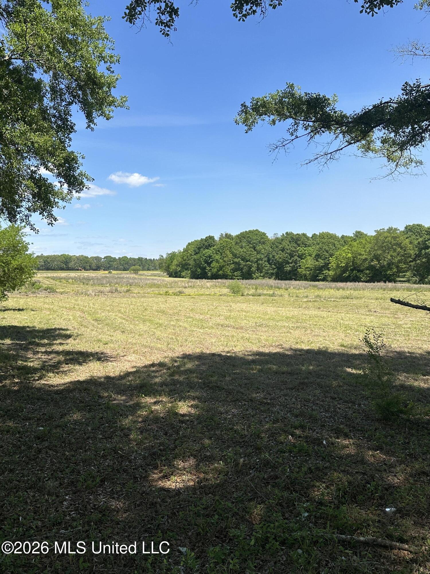 Holly Bush Road Brandon, MS 39047 - Photo 1 of 8 Lot Good Portrait