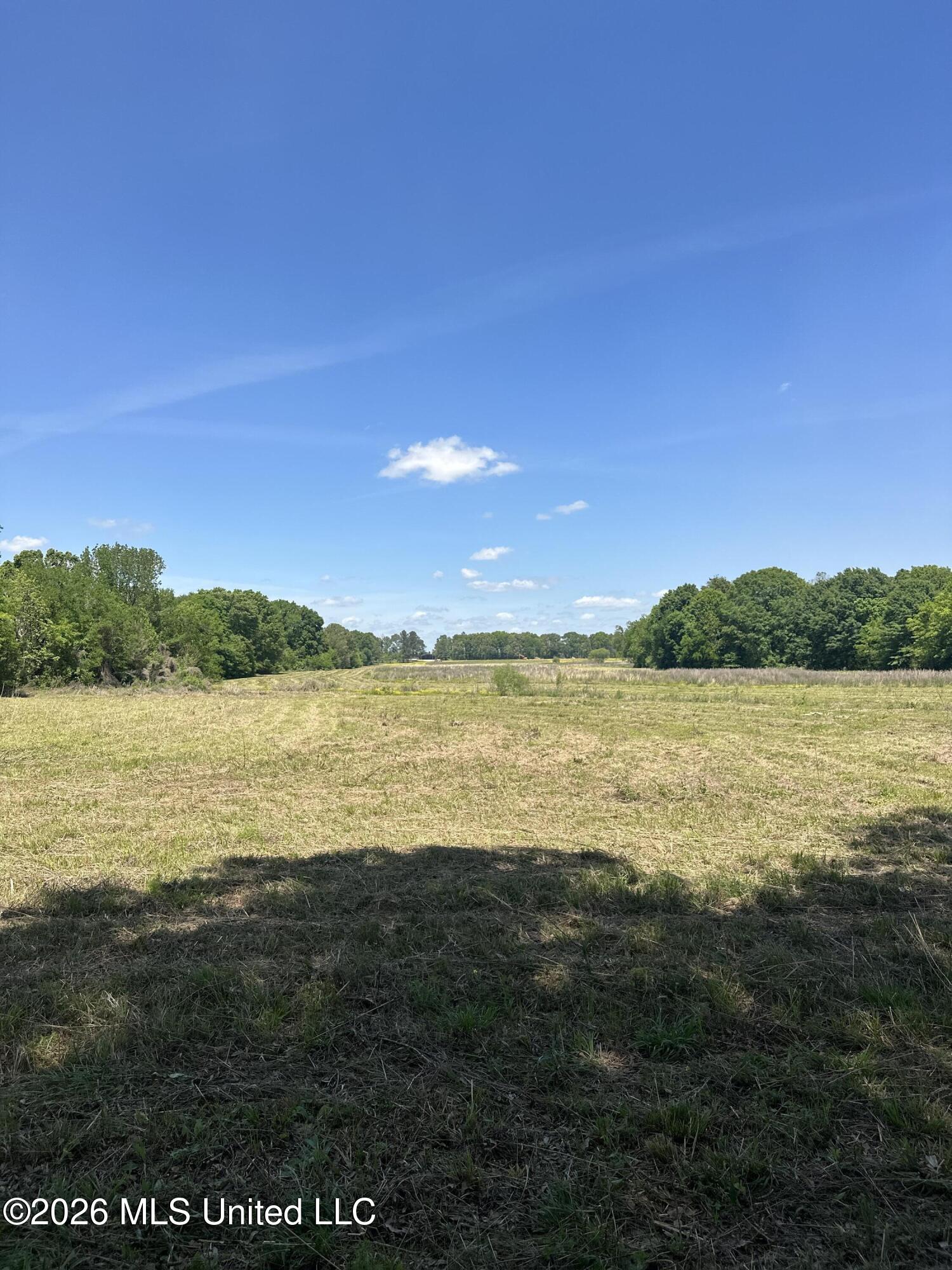 Holly Bush Road Brandon, MS 39047 - Photo 2 of 8 Lot4Portrait
