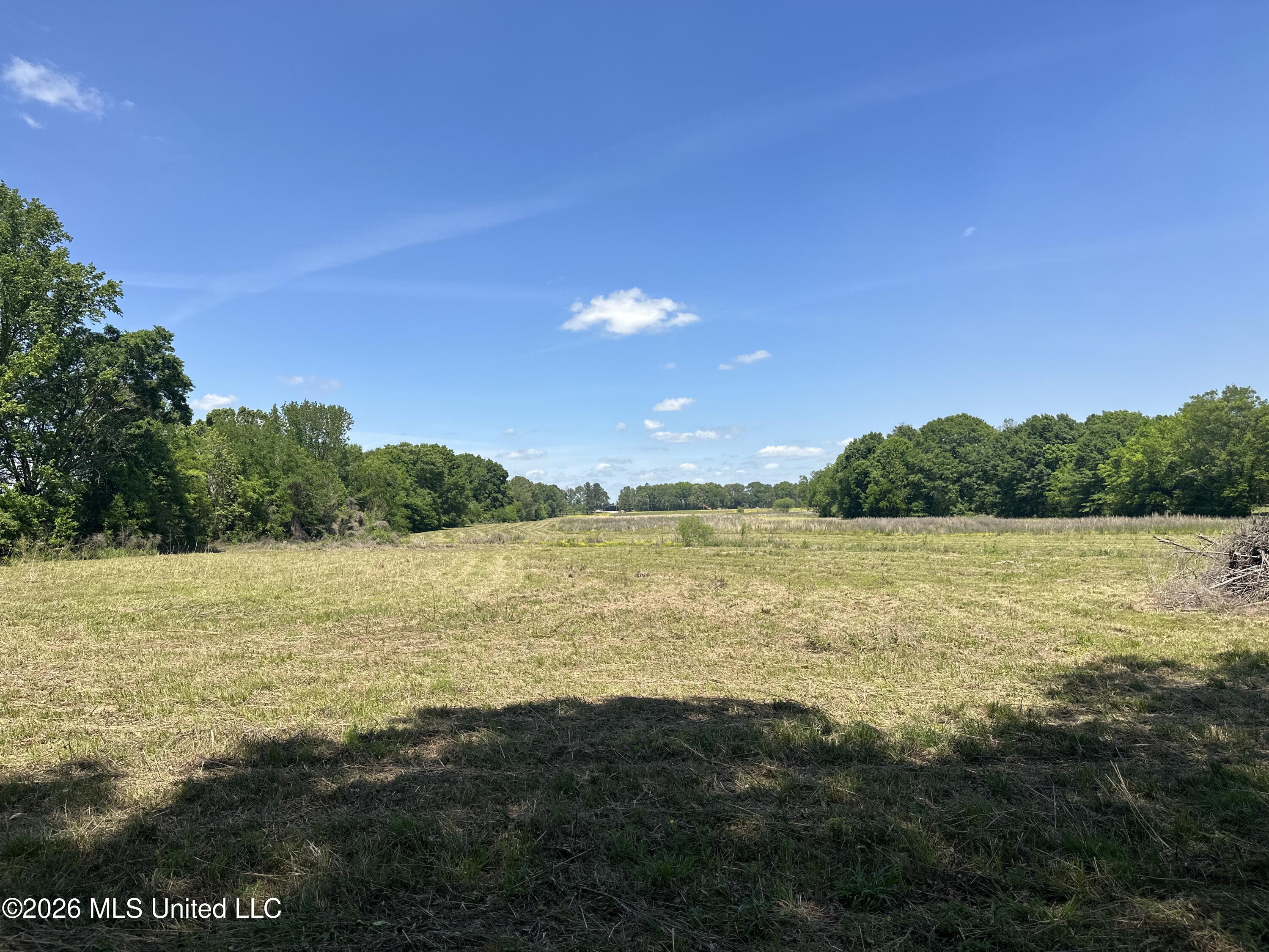 Holly Bush Road Brandon, MS 39047 - Photo 5 of 8 Lot3