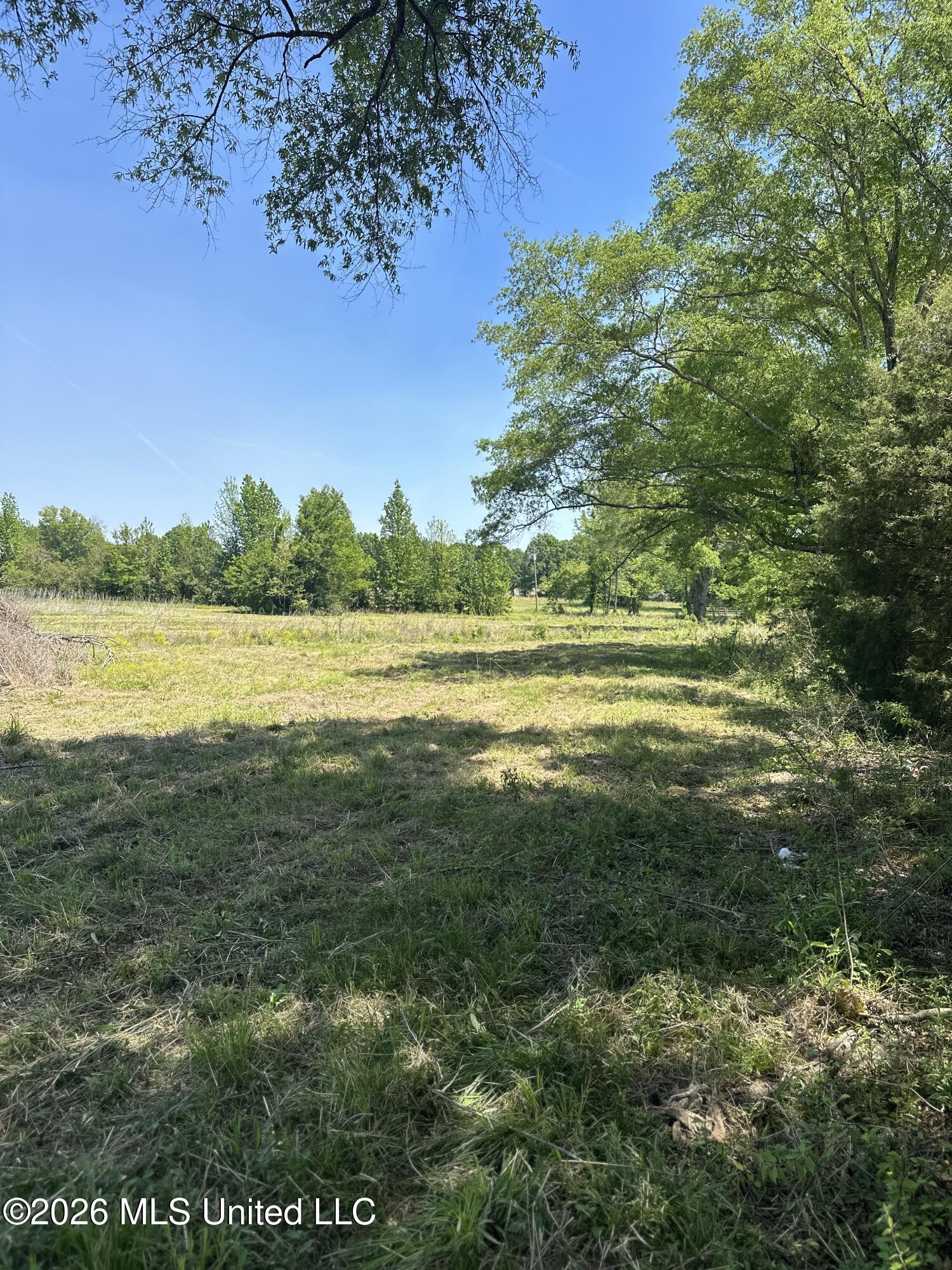 Holly Bush Road Brandon, MS 39047 - Photo 6 of 8 Lot1