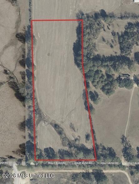 Holly Bush Road Brandon, MS 39047 - Photo 8 of 8 Aerial Photo