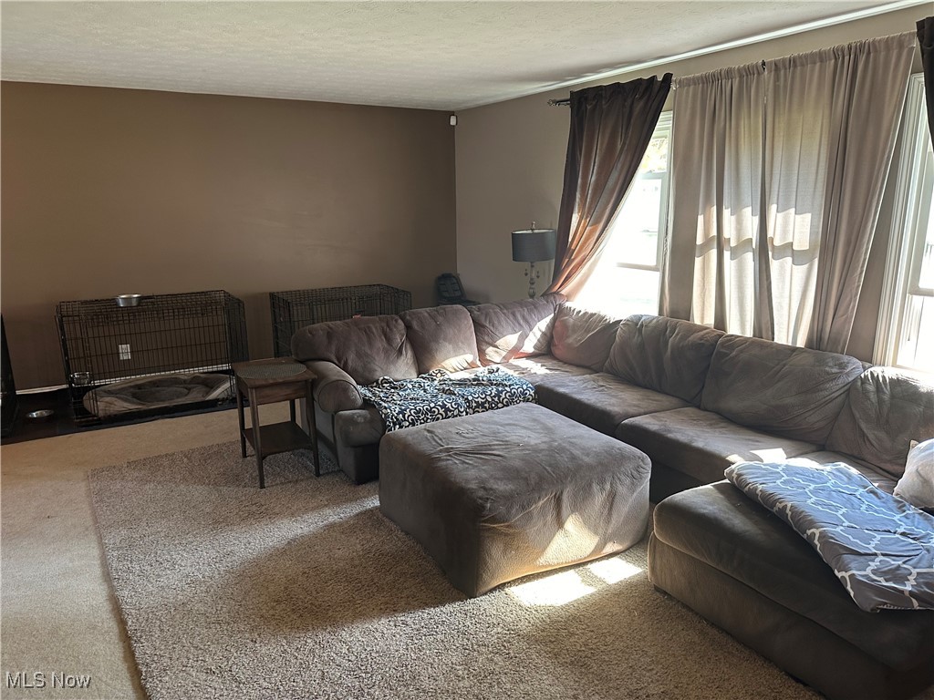 4433 Foresthill Road Stow, OH 44224 - Photo 13 of 27 Gallery Image 13
