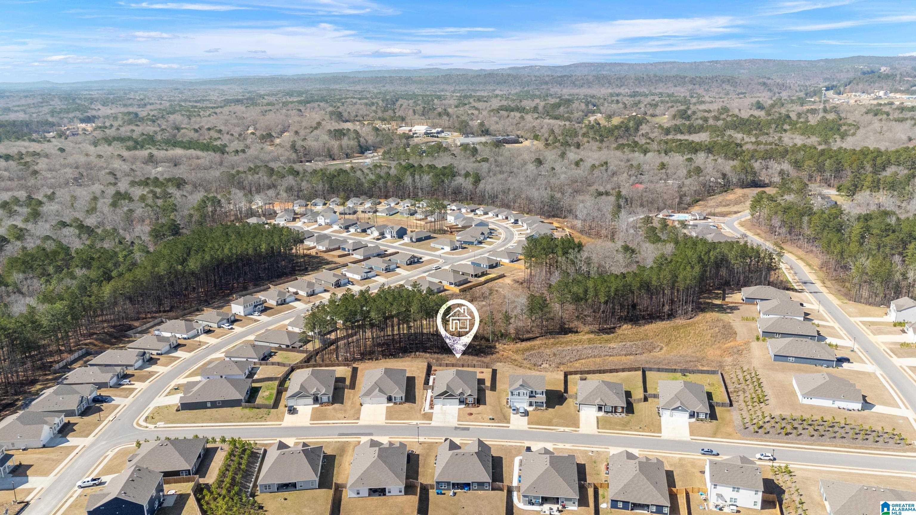216 Arlington Loop Chelsea, AL 35043 - Photo 49 of 54