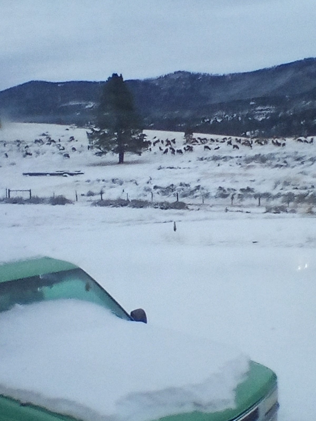 3358 Strandskov Road Lincoln, MT 59639 - Photo 52 of 80 Gallery Image 52
