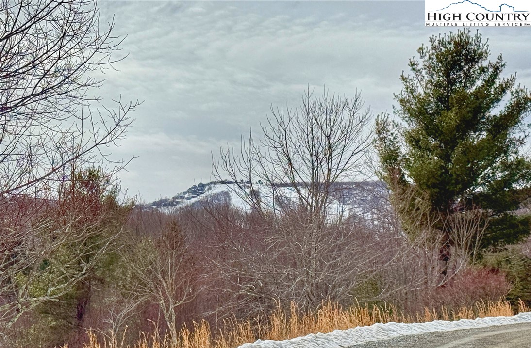 104 Windridge Road Beech Mountain, NC 28604 - Photo 3 of 29 Gallery Image 3