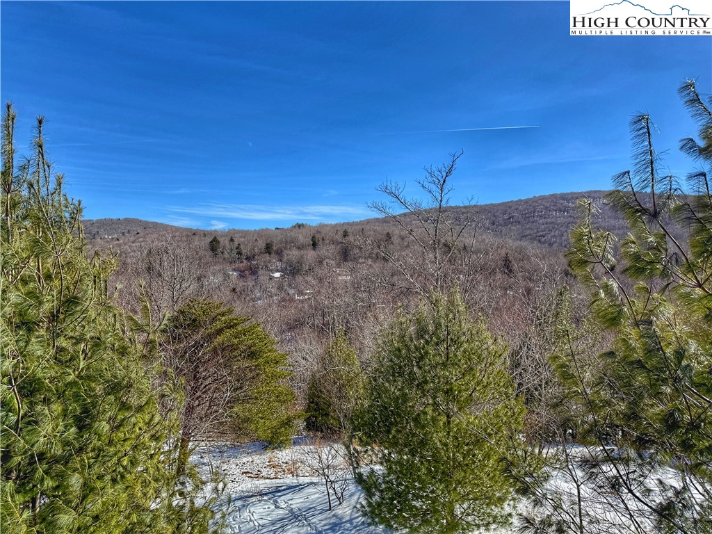 104 Windridge Road Beech Mountain, NC 28604 - Photo 6 of 29 Gallery Image 6