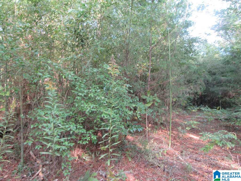 0 Cherry Street, Unit 1 Talladega, AL 35160 - Photo 9 of 10