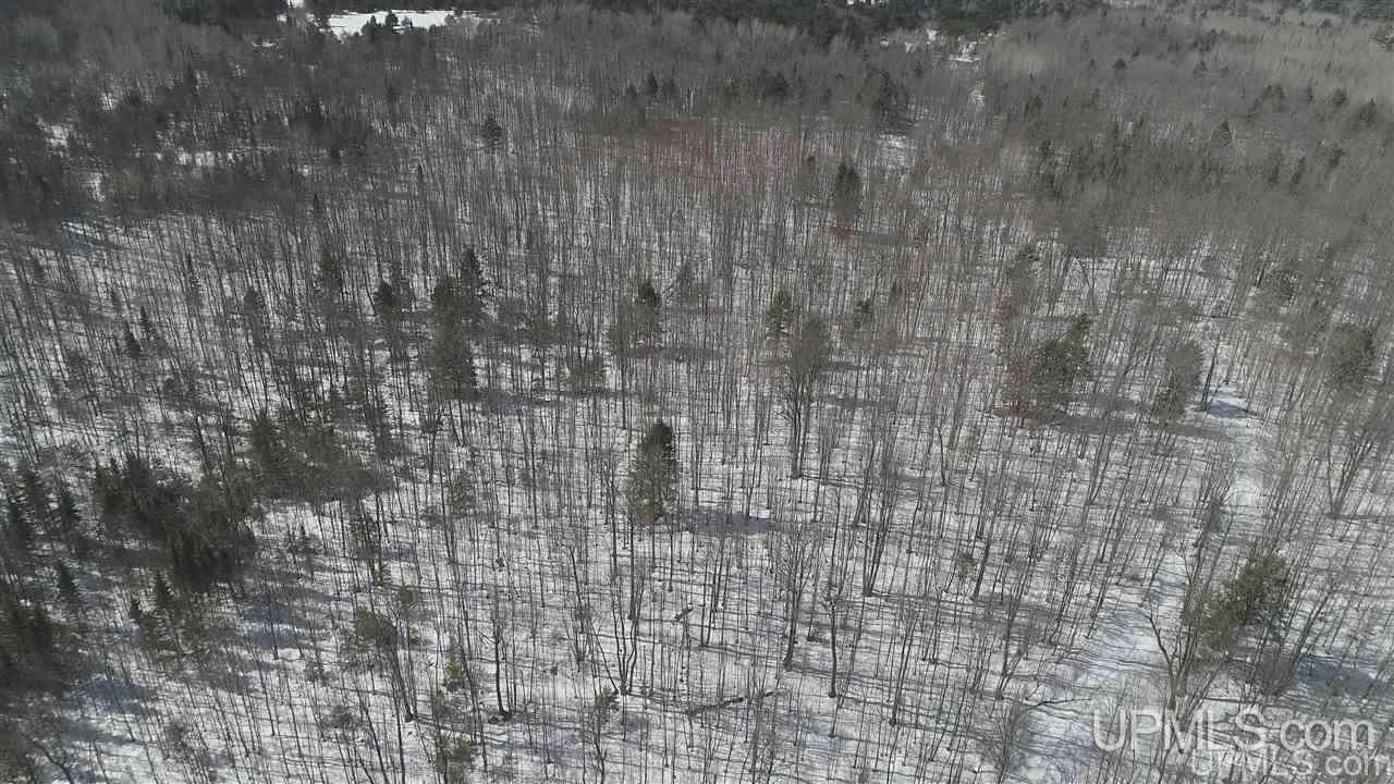 240-acres Leek Road Covington, MI 49919 - Photo 34 of 50